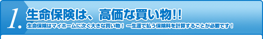 生命保険は、高価な買い物